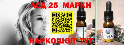 прущие грибы Камышлов
