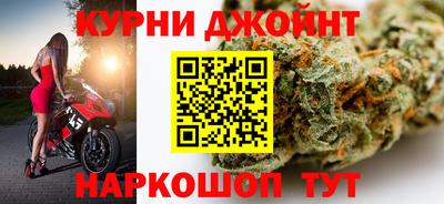 прущие грибы Камышлов