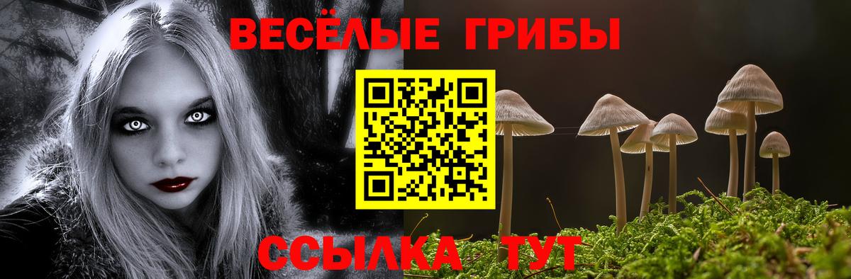 Кудрово  Галлюциногенные грибы GOLDEN TEACHER  Вход с VPN 