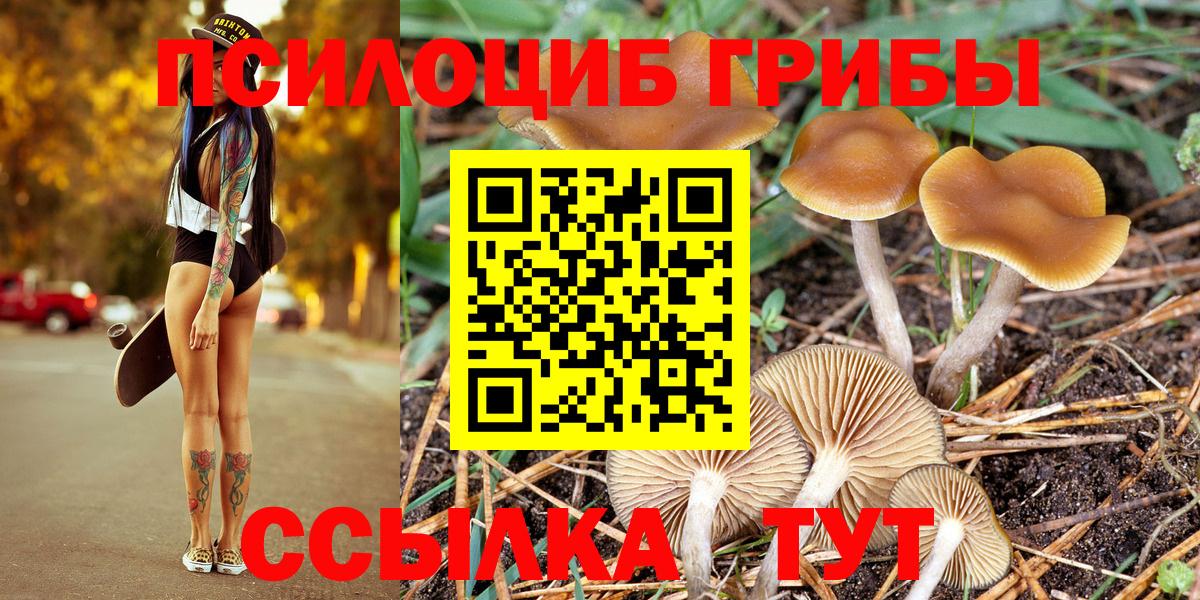 Галлюциногенные грибы GOLDEN TEACHER Кудрово